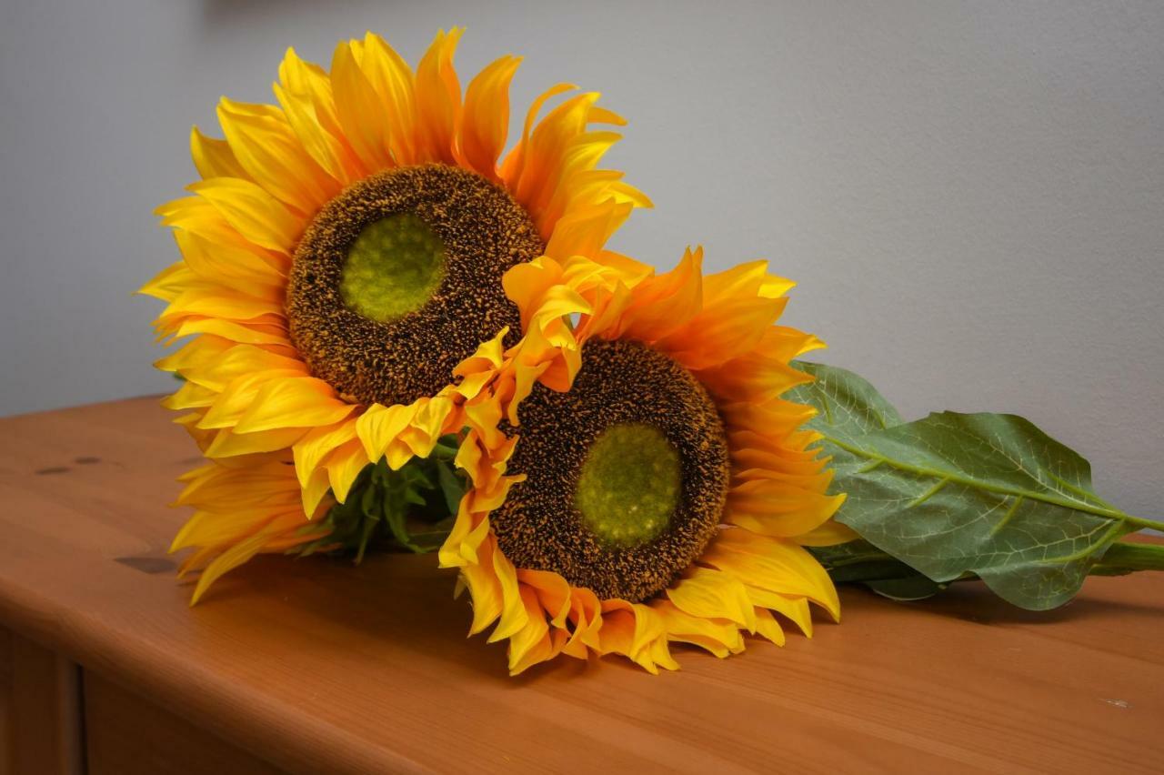 Desenzanoloft Official Partner Marriott Homes & Villas - The Sunflower Front Lake Desenzano del Garda Exterior photo